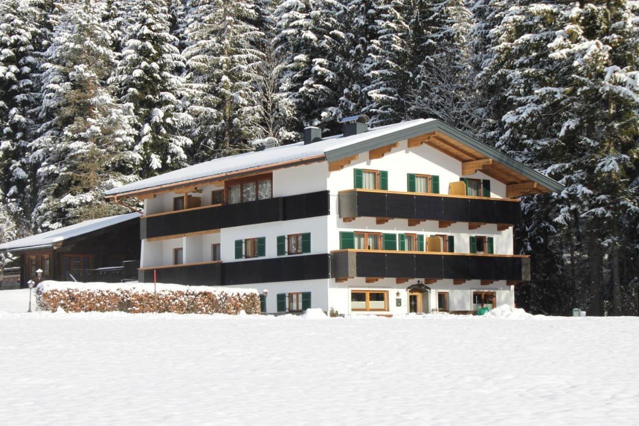Otto Steiner Appartements Pension Ellmau & Wilder Kaiser Exteriér fotografie